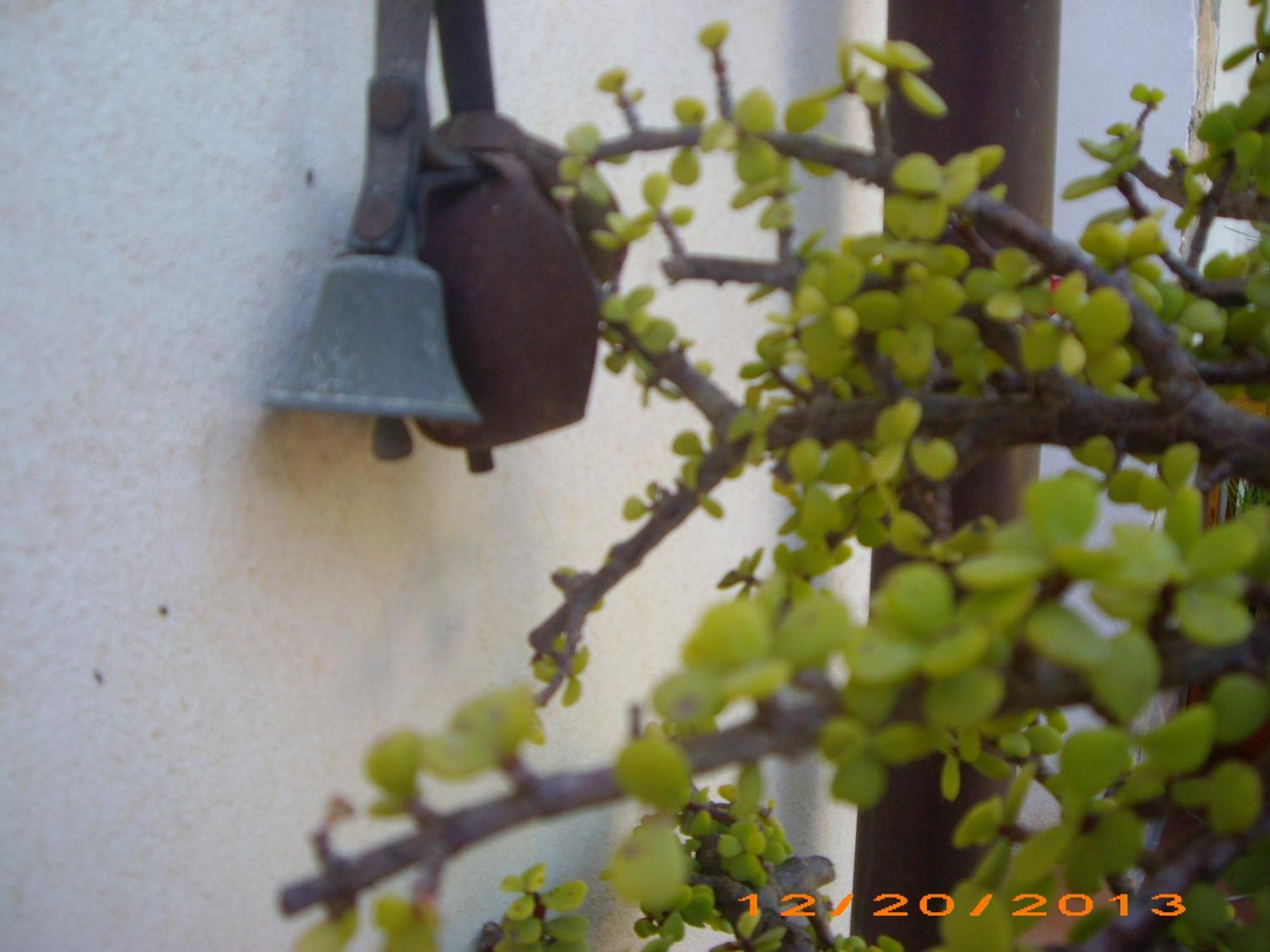 La Bianca Scogliera Bed & Breakfast Realmonte Ngoại thất bức ảnh