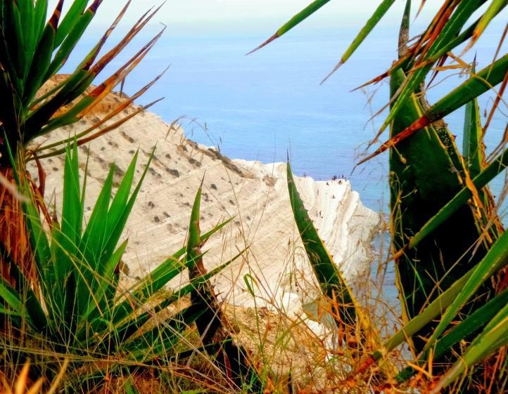 La Bianca Scogliera Bed & Breakfast Realmonte Ngoại thất bức ảnh