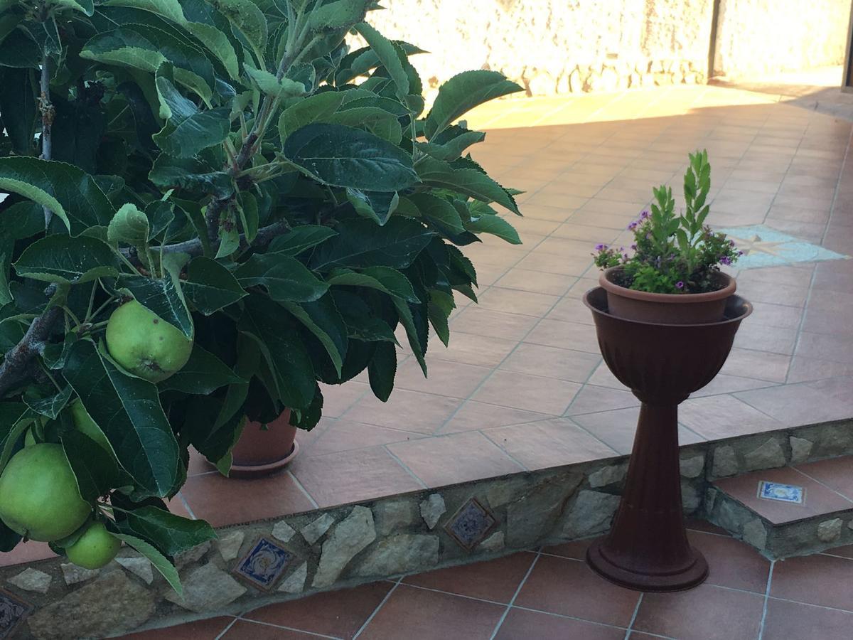La Bianca Scogliera Bed & Breakfast Realmonte Ngoại thất bức ảnh